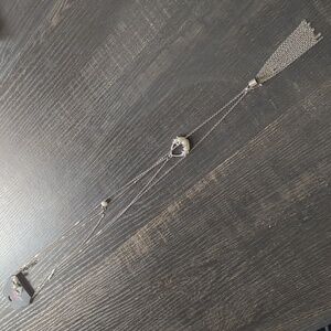 Paparazzi Silvertone Long Necklace & Earrings Set NWT